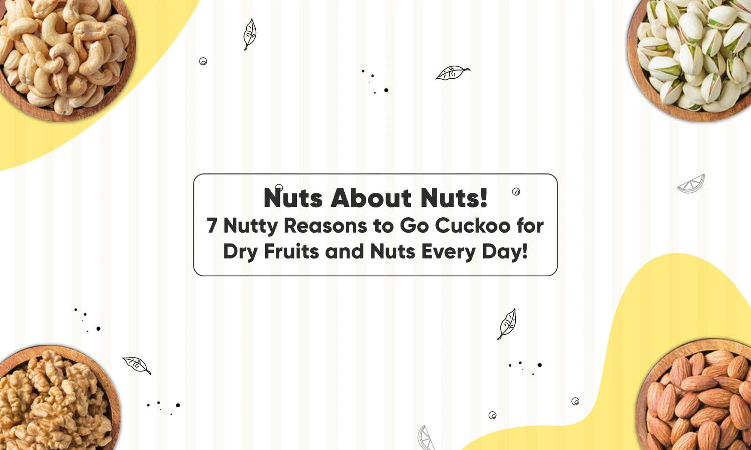 Discover the Nutritional benefits of Dry Fruits and Nuts at Fabeato! - Fabeato