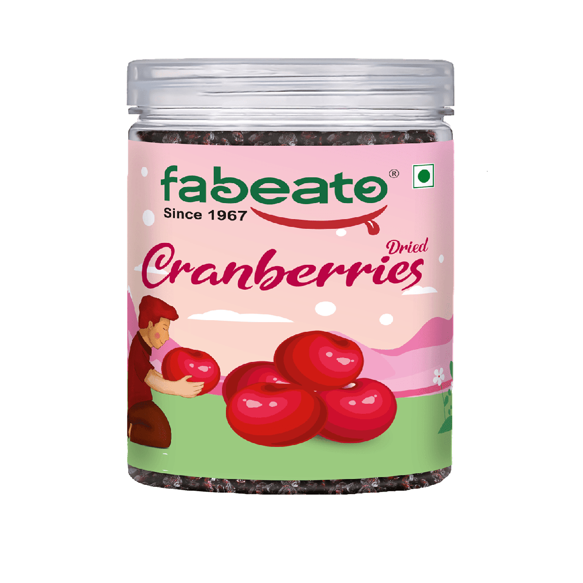 Premium Dried Cranberries 250g - Fabeato