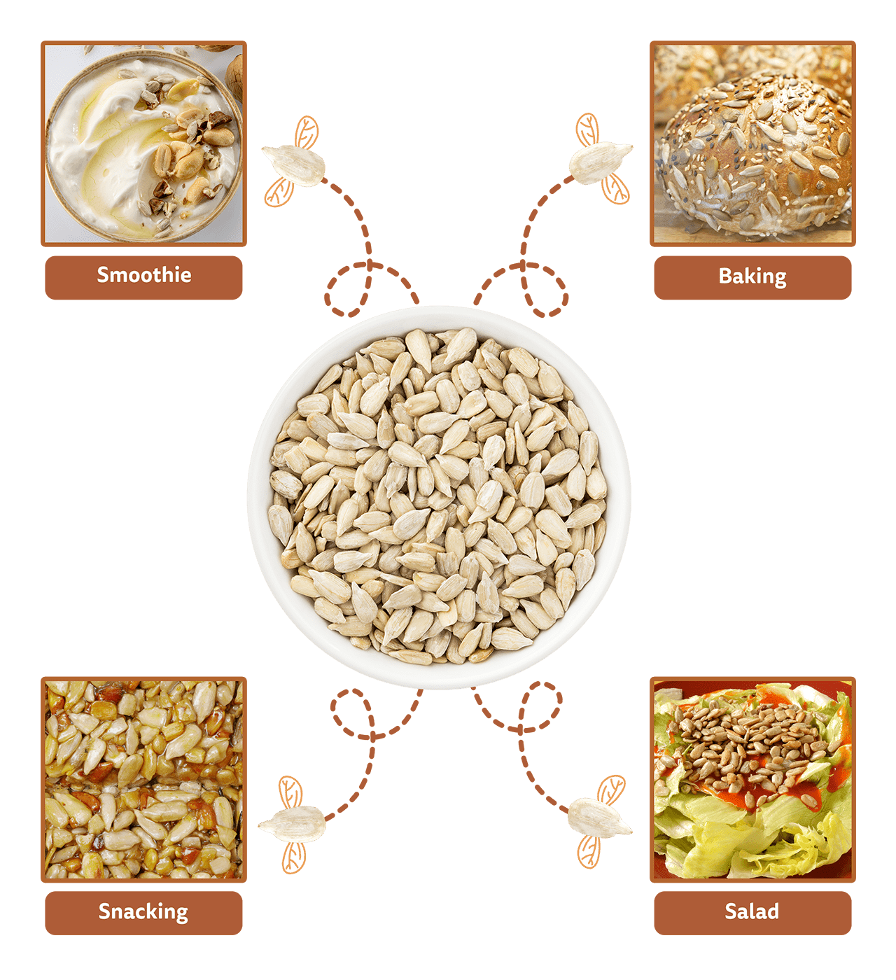 Natural Premium Raw Seeds Combo(Pumpkin-200g, Sunflower-250, Flax Seeds-250g) - Fabeato