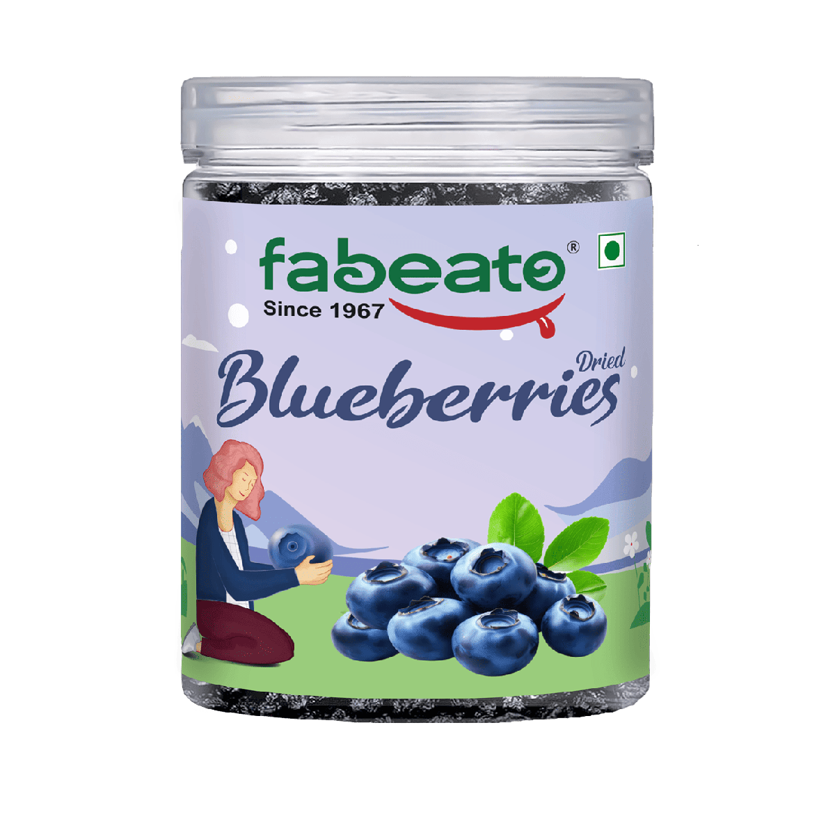 Premium Dried Whole Blueberries 250g - Fabeato