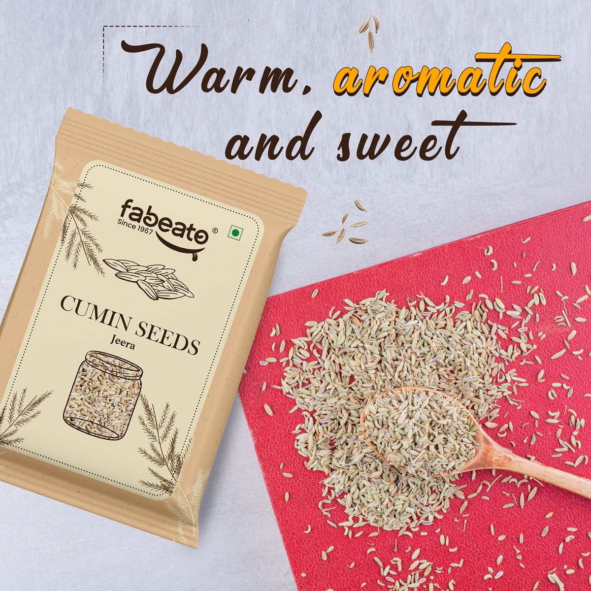 Cumin Seeds Whole 200g