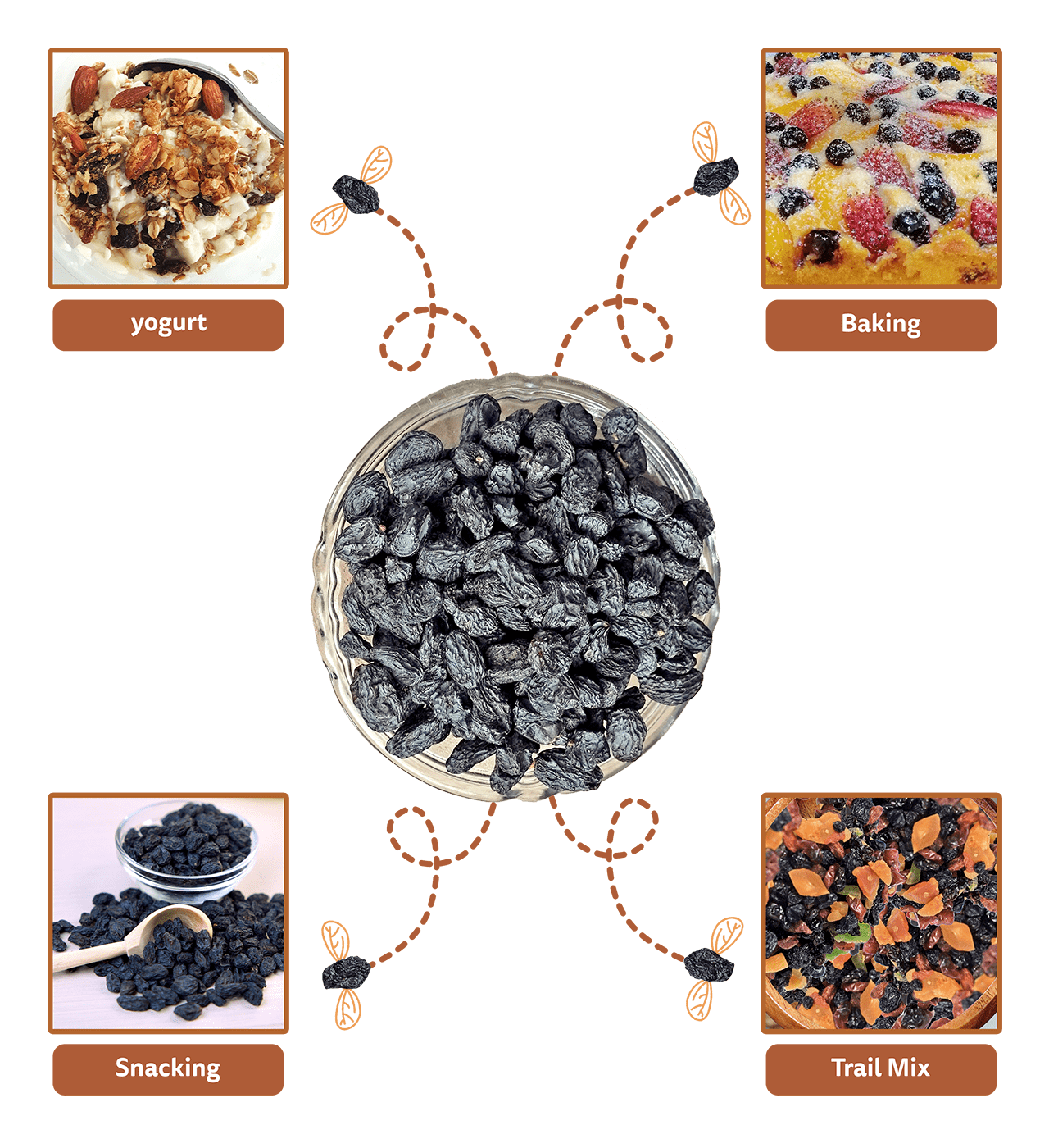 Daily_uses_Black_raisin