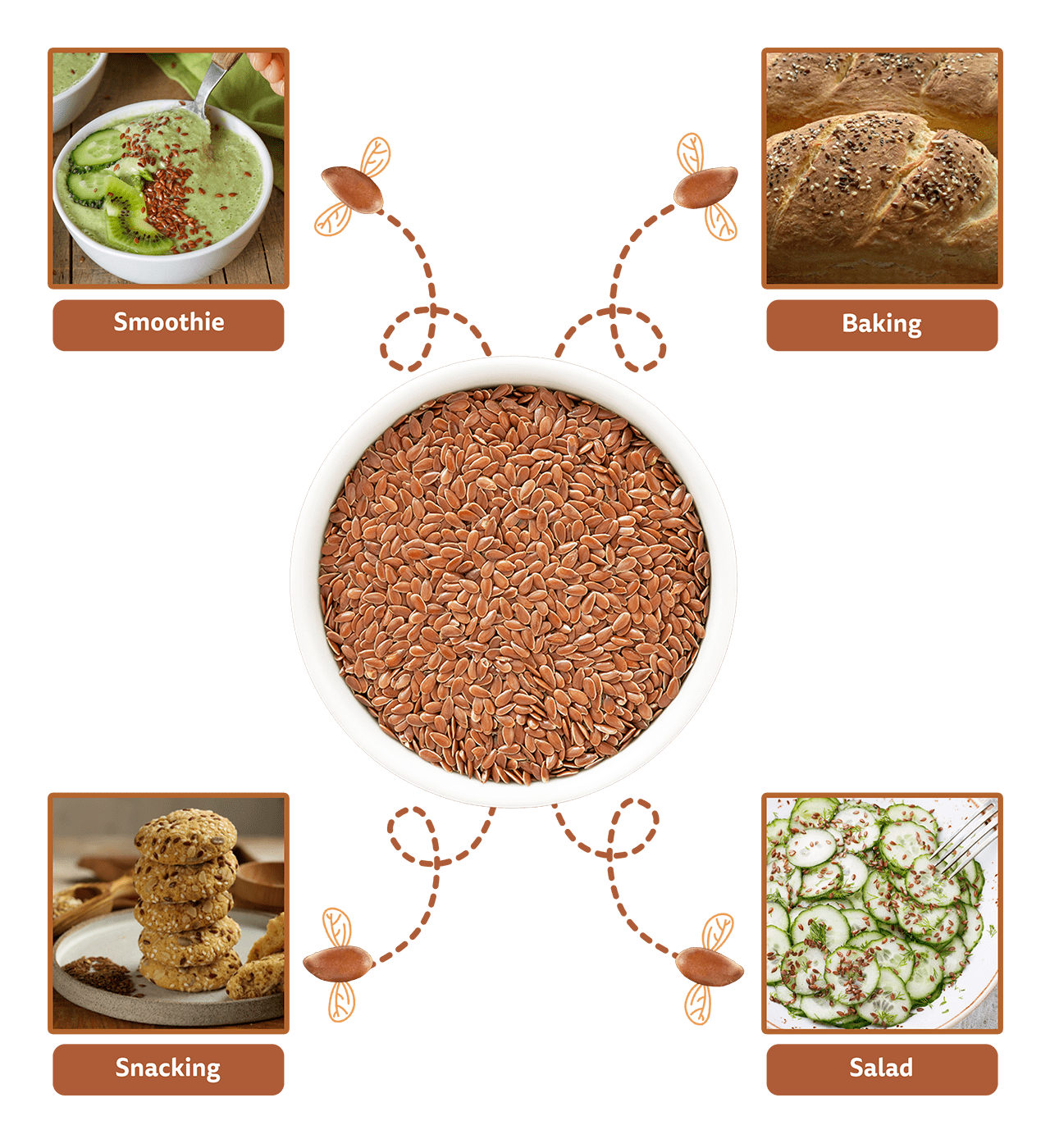 Daily_uses_Flax_seeds