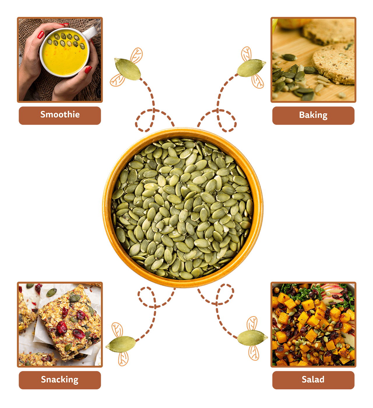 Daily_uses_Pumpkin_seeds