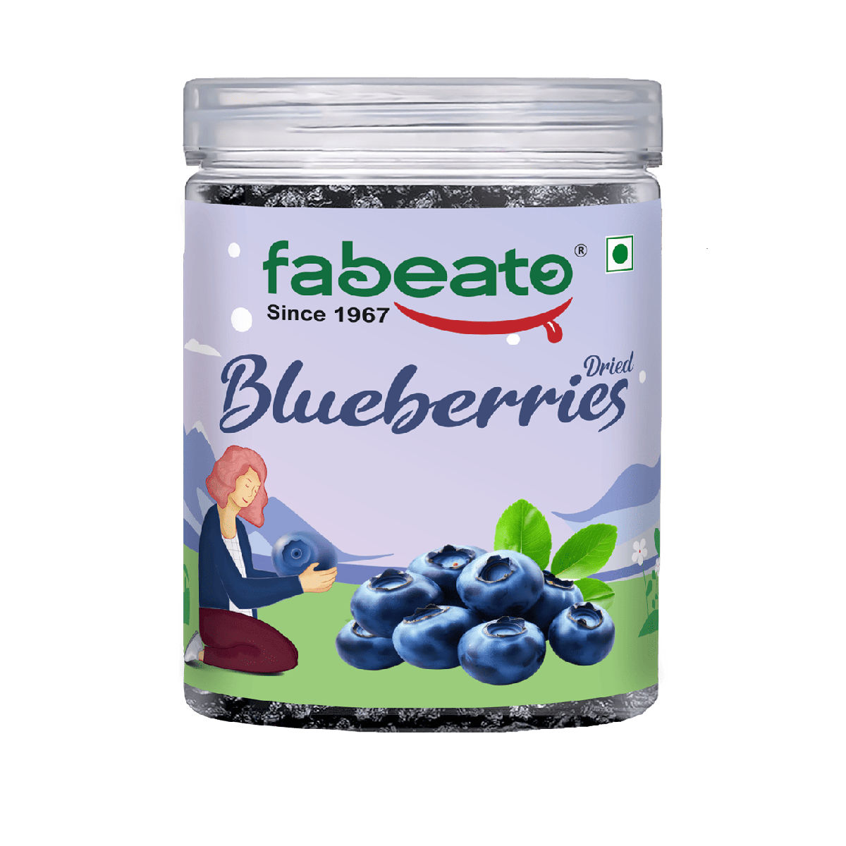 Premium Dried Whole Blueberries 250g